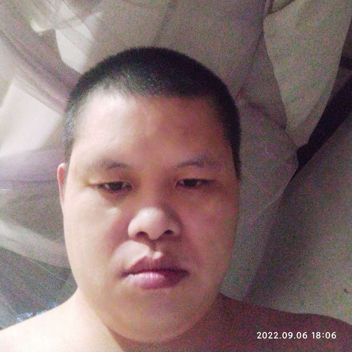 蓝莓方欢呼的照片
