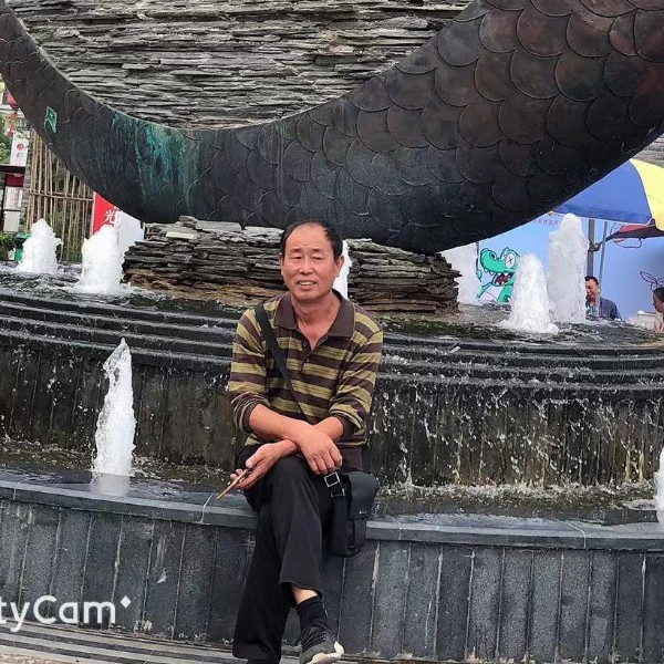 羽毛有大力的照片