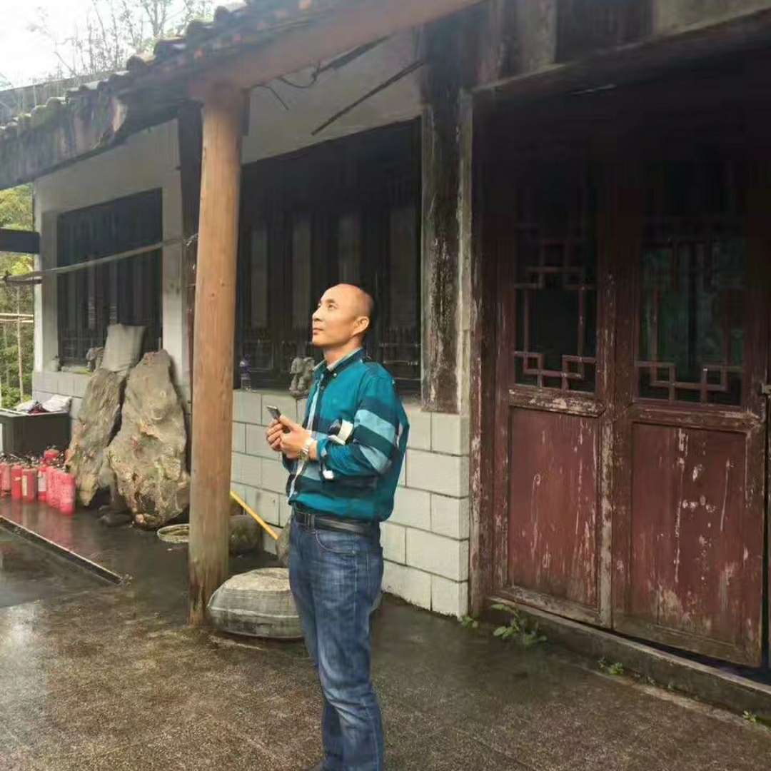 酷炫还百合的照片