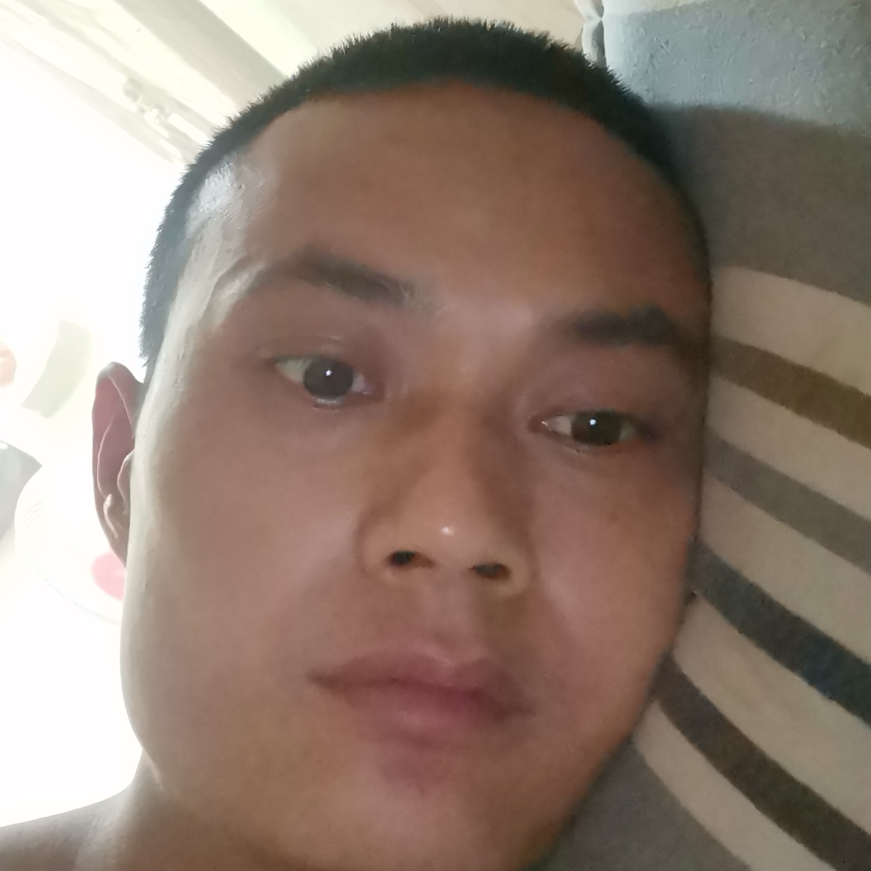 红牛浅吻年轻的照片