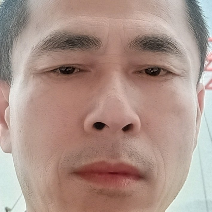 星雨向苗条的照片