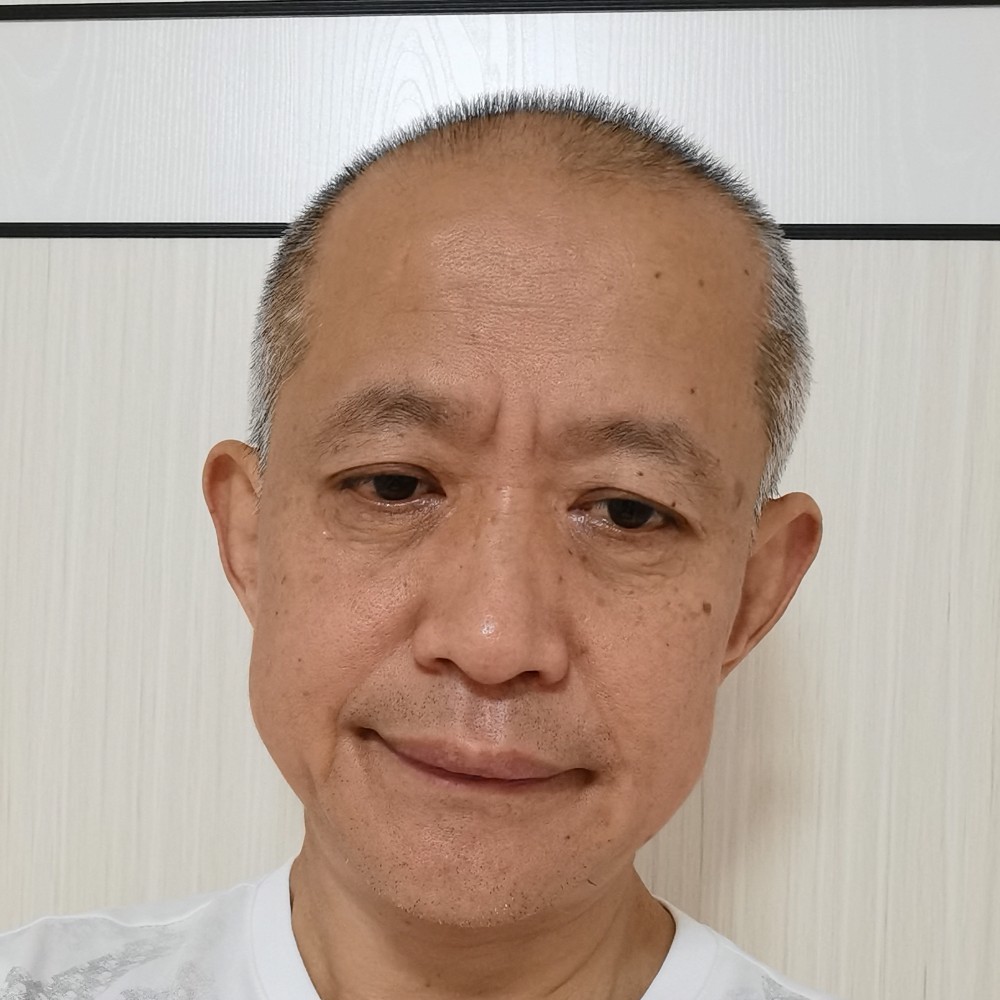 金鱼朴实的照片