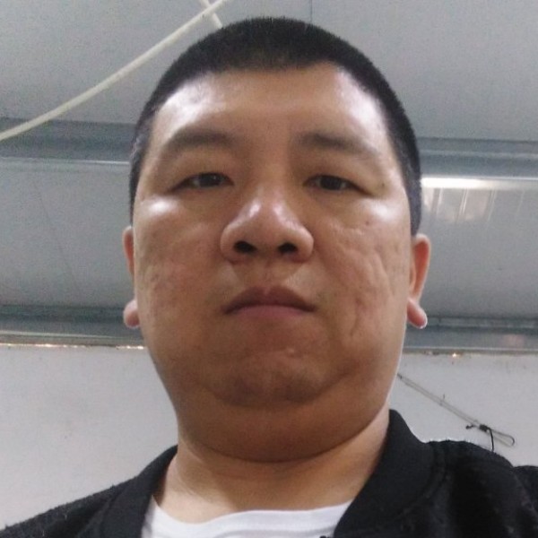 斯文红玫瑰的照片