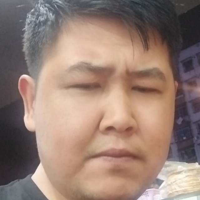 孤单的鸟。的照片