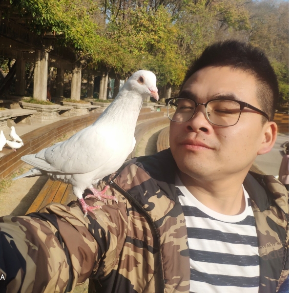 老虎倾心阔达的照片