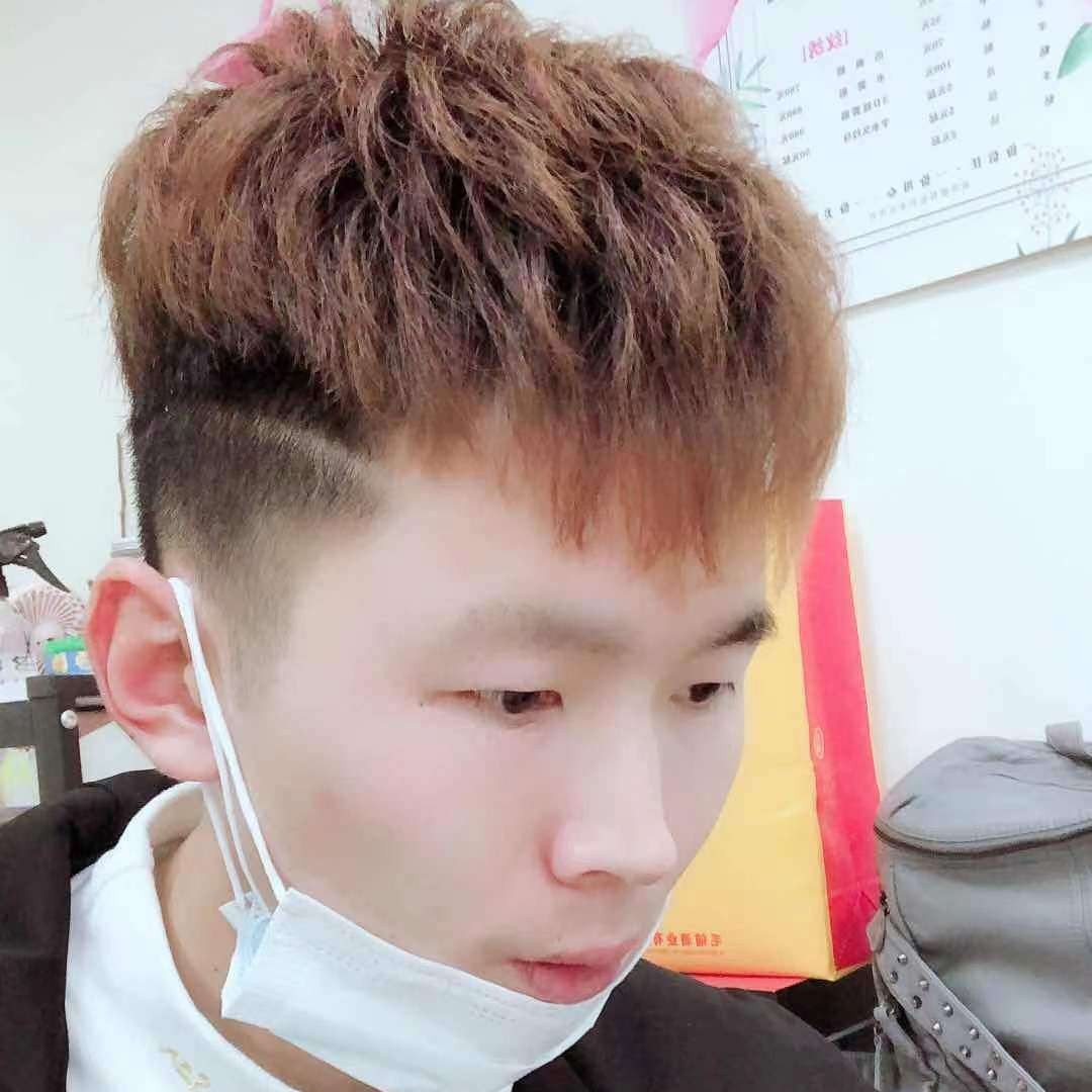 唱歌的骆驼的照片