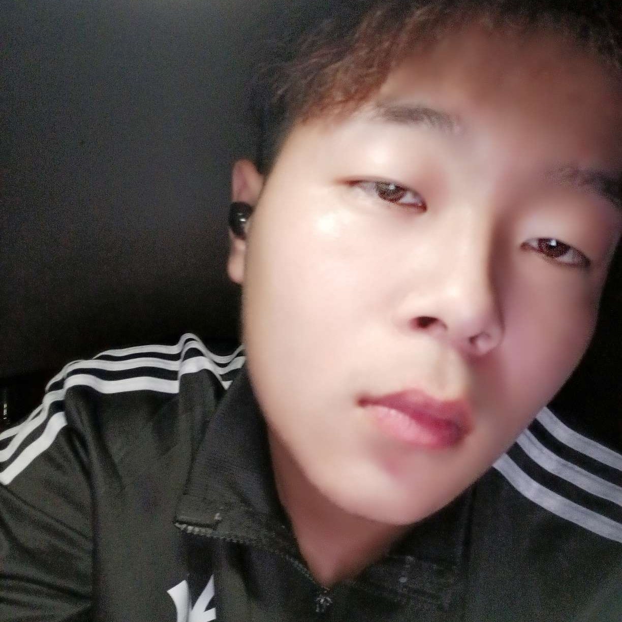 什么牛马呀的照片