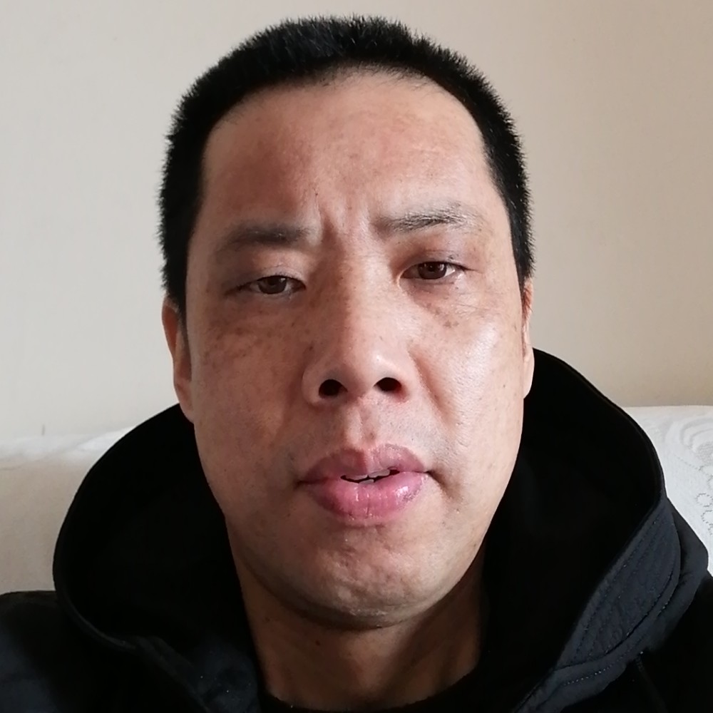 安静的大树的照片