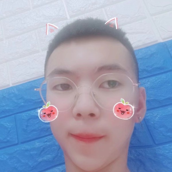 小蚂蚁保卫幽默的照片