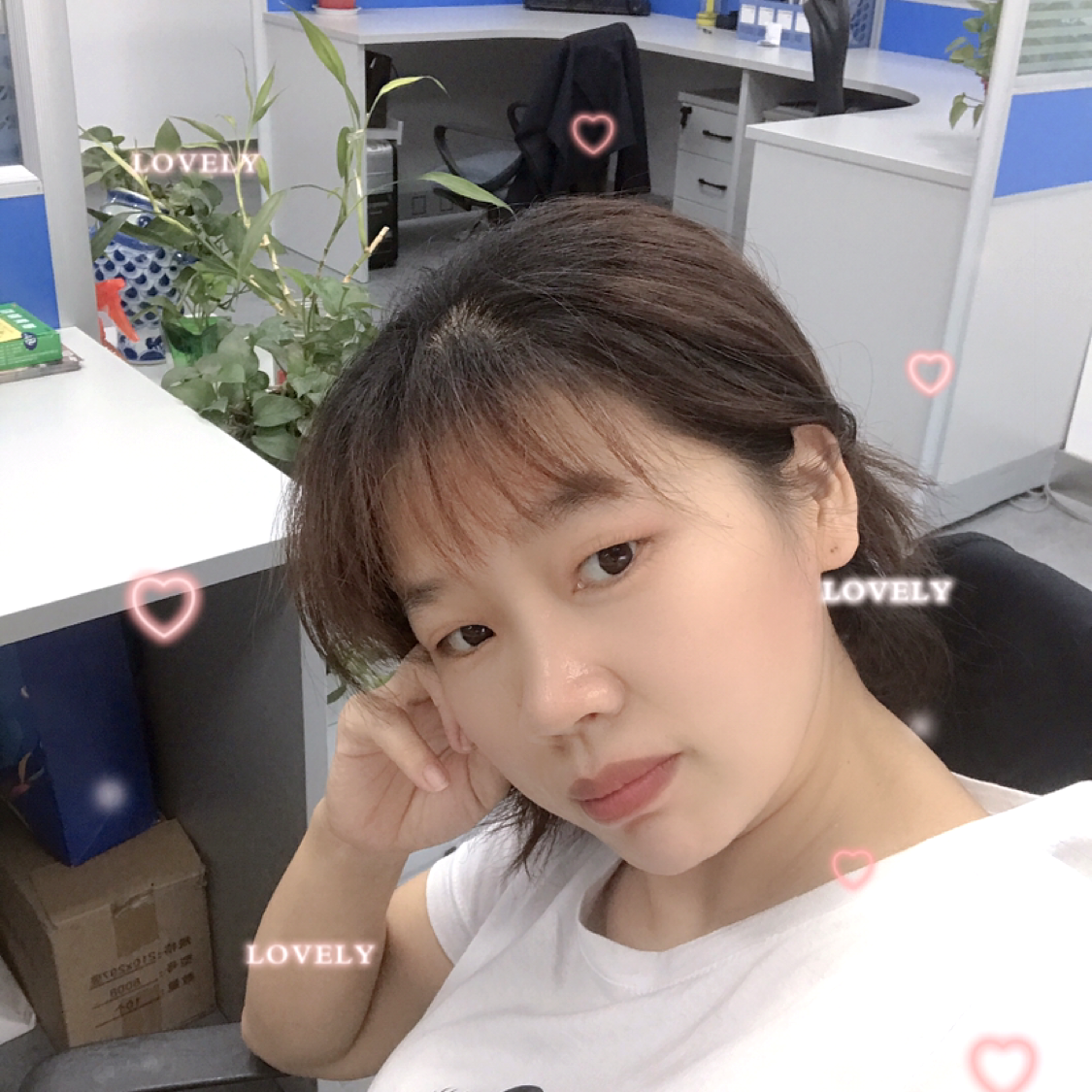 无色的鱼的照片