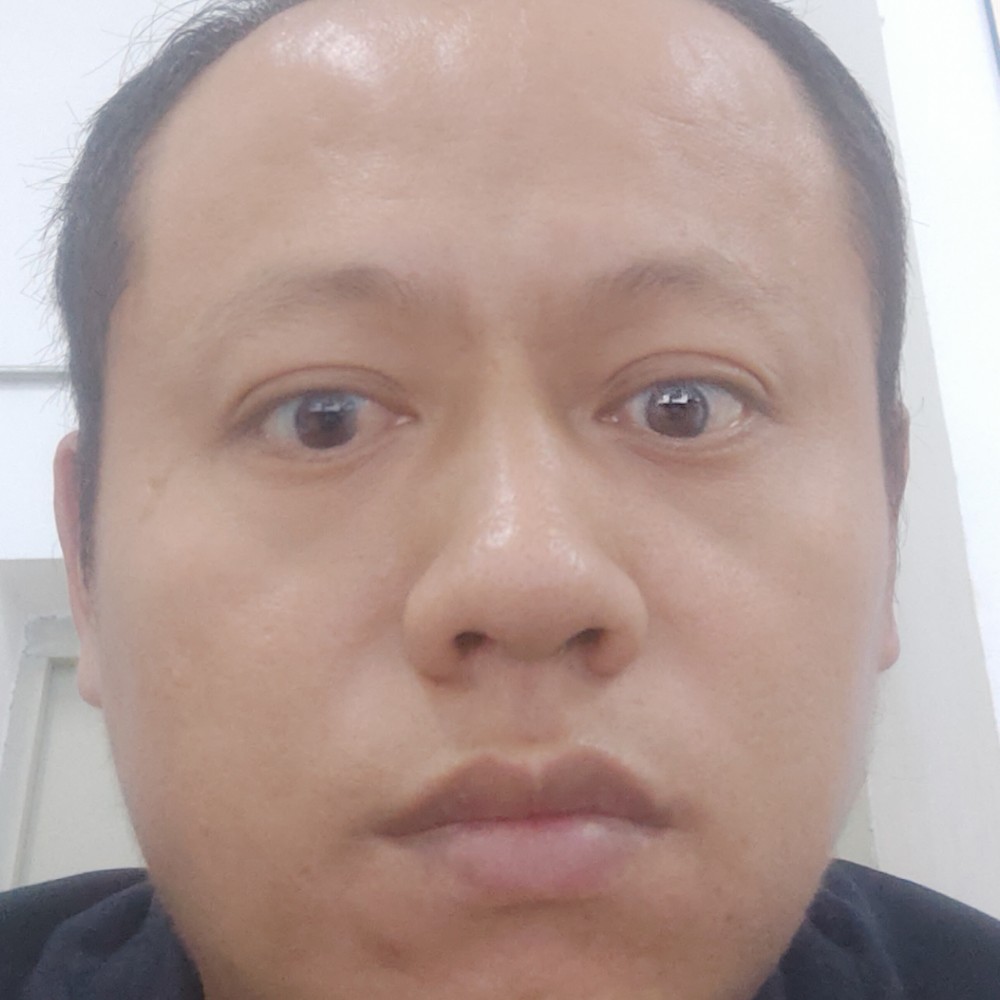 羽毛蹙眉清秀的照片