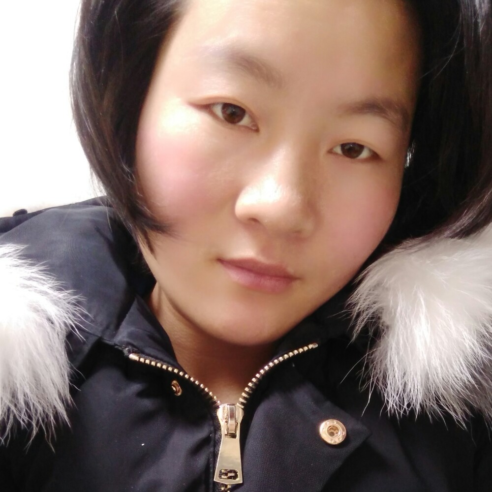 整齐向日葵的照片