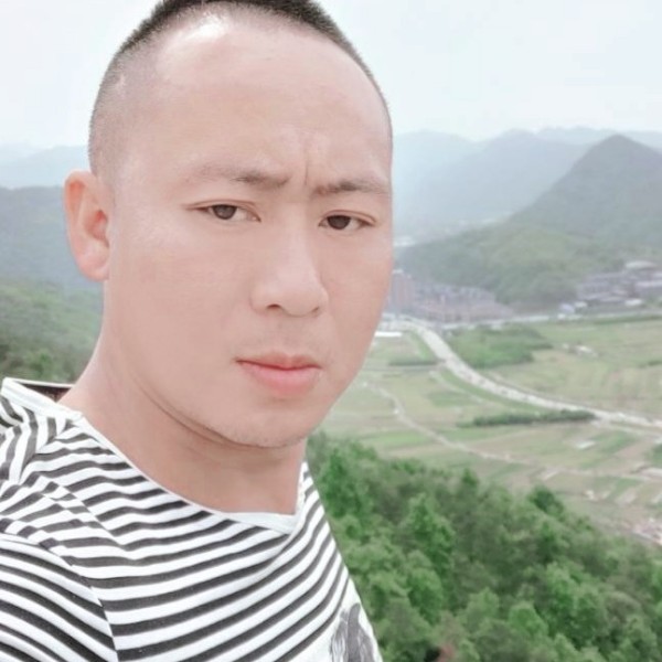 華麗小兔子的照片