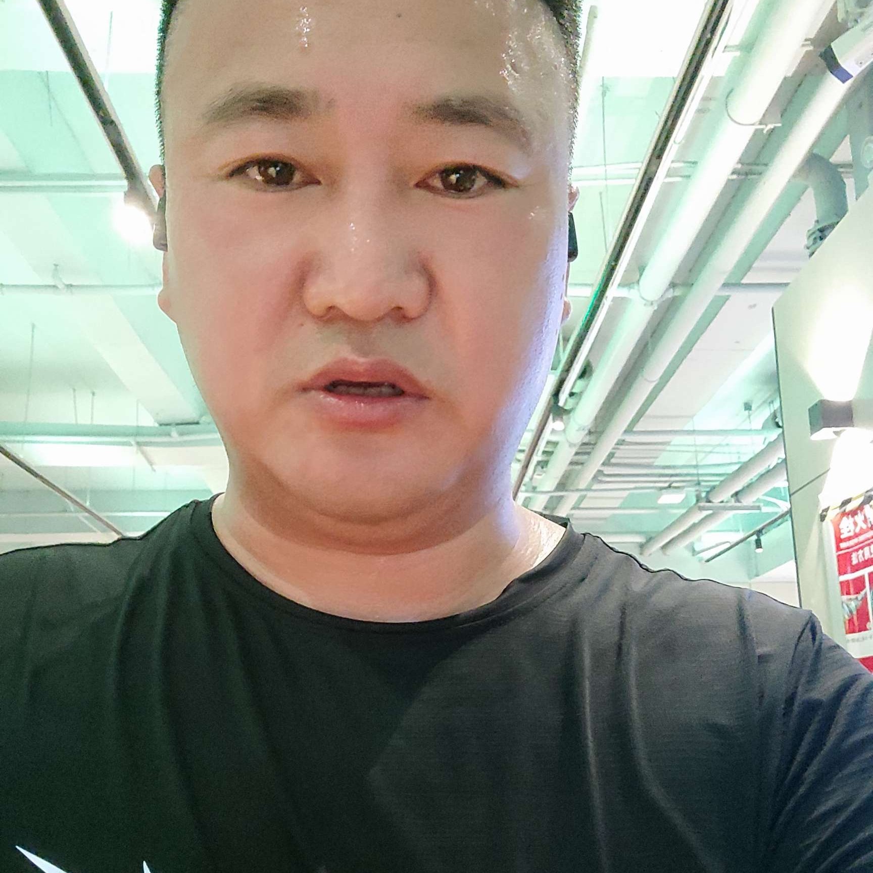 树叶漫步顺心的照片