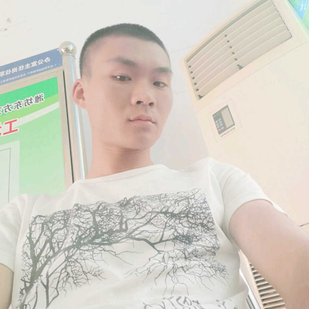 感动香菇的照片