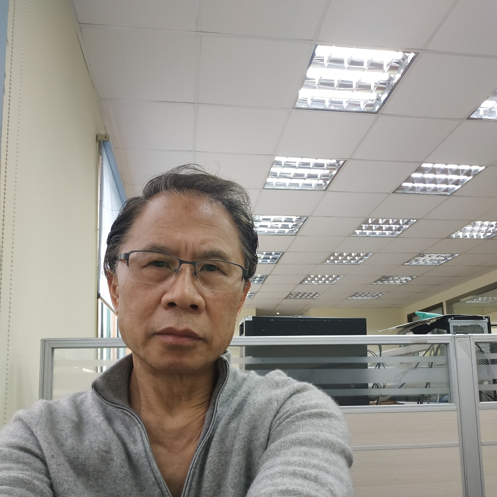 大树迷离的照片