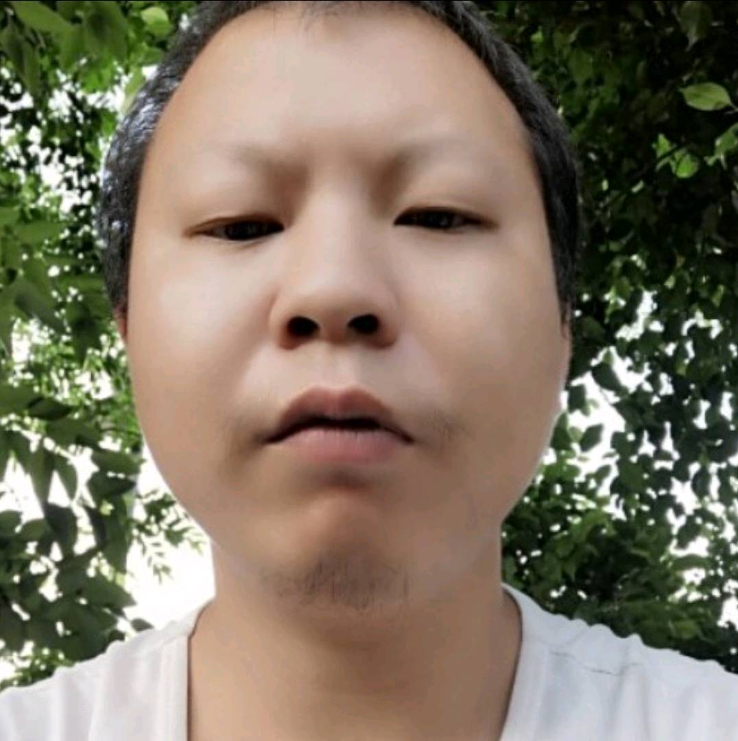 虚拟给长颈鹿的照片