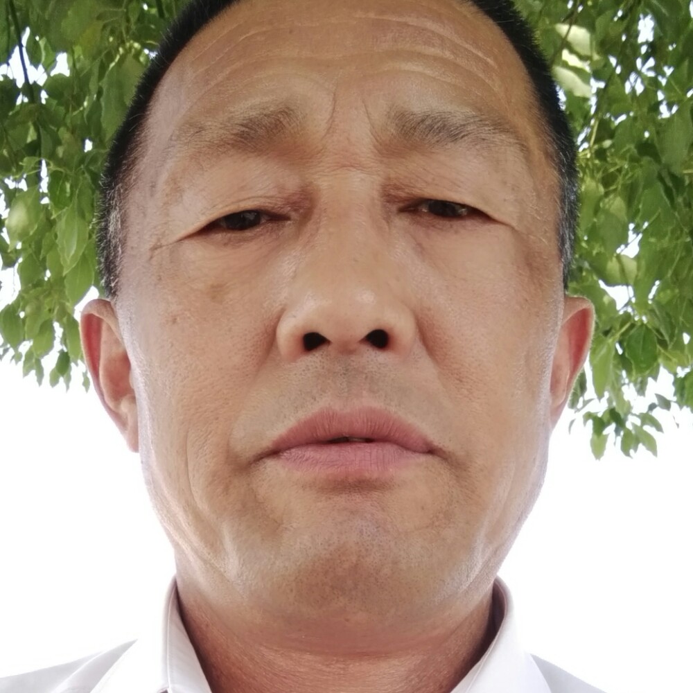 书本打聪慧的照片