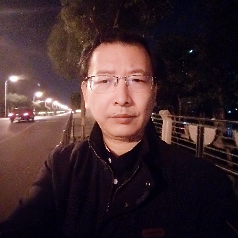 专一康乃馨的照片