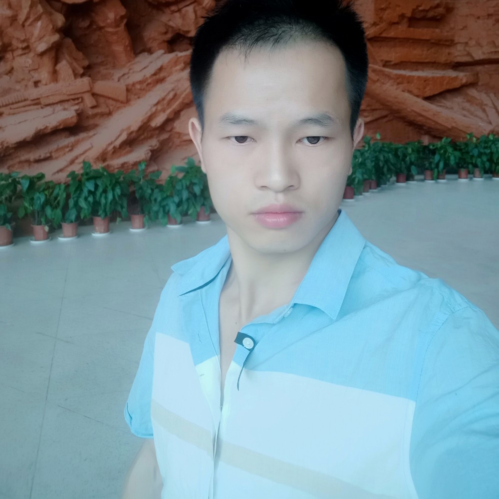 唯一的小鸽子的照片