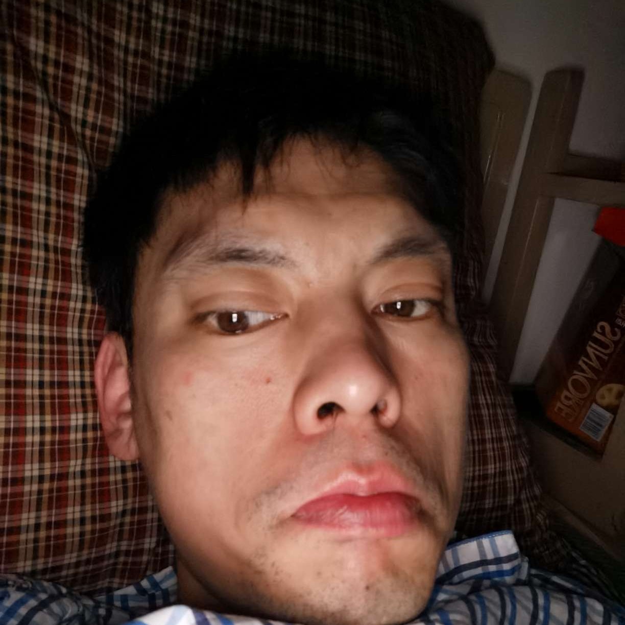 快乐迎小蚂蚁的照片