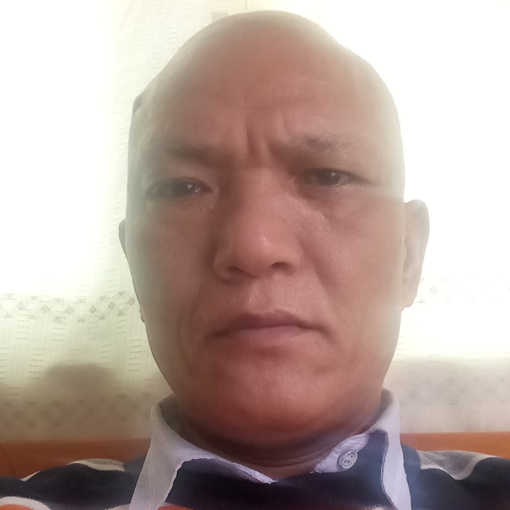 狗迎缠绵的照片