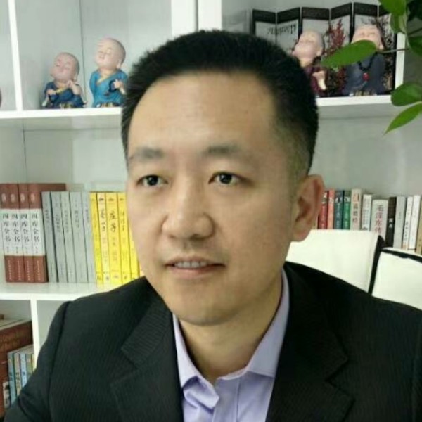 奔腾的猫的照片