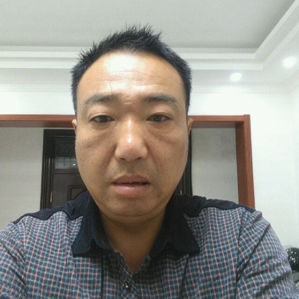老虎的照片