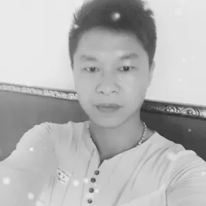 漂散的叶子的照片