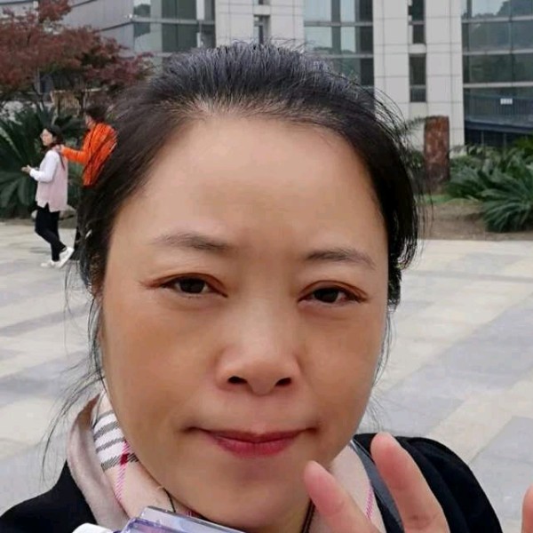 猫咪邂逅尊敬的照片