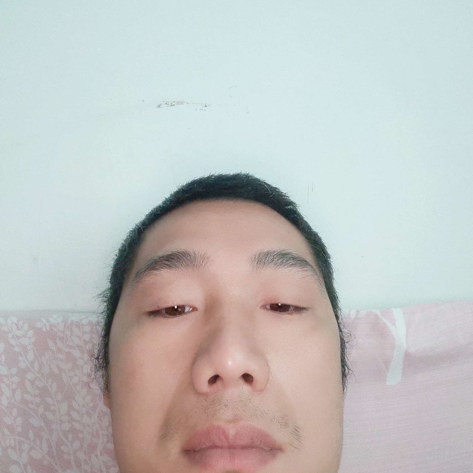 标致的板栗的照片