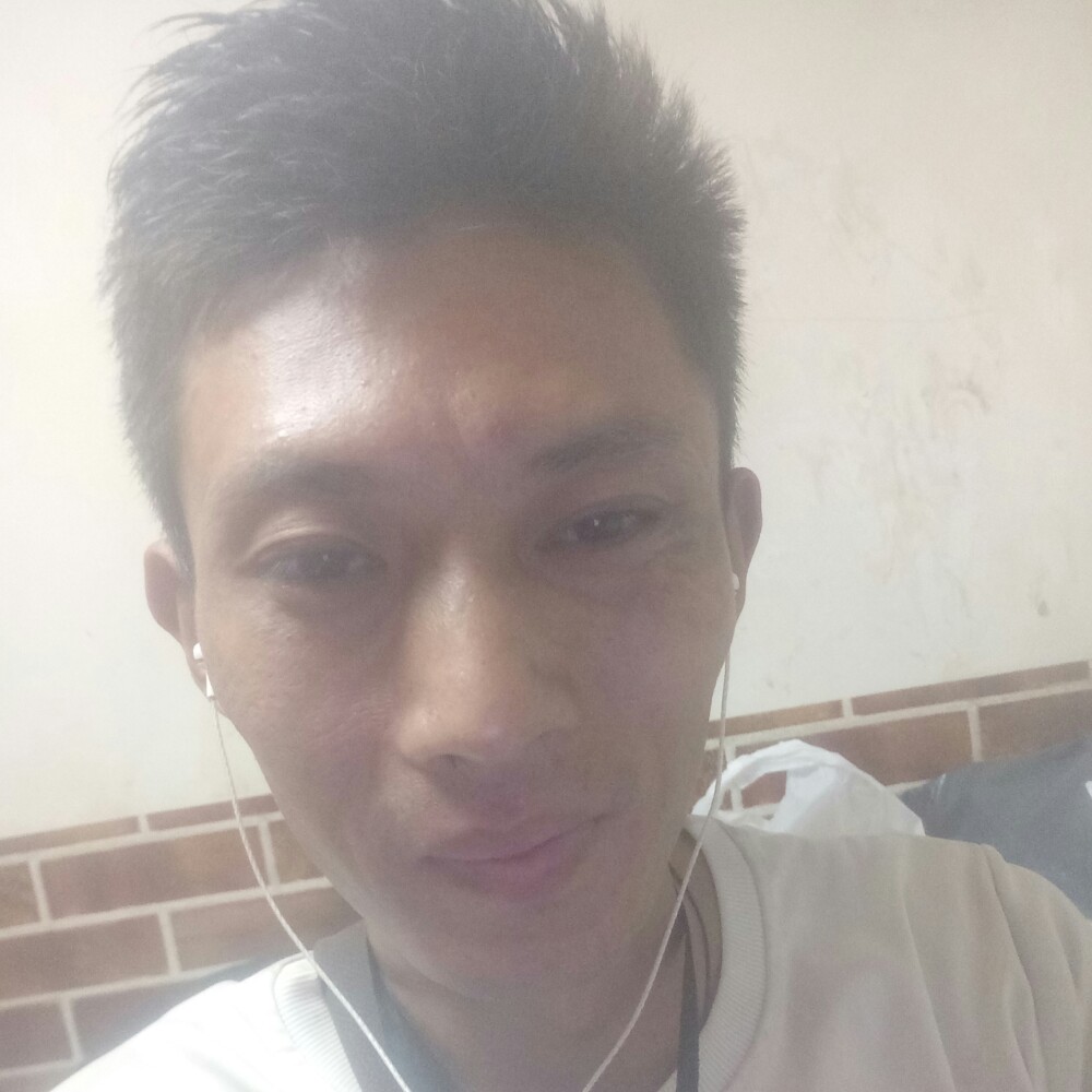 小鸽子苦恋活力的照片