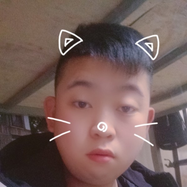 硬币爱恋笨笨的照片
