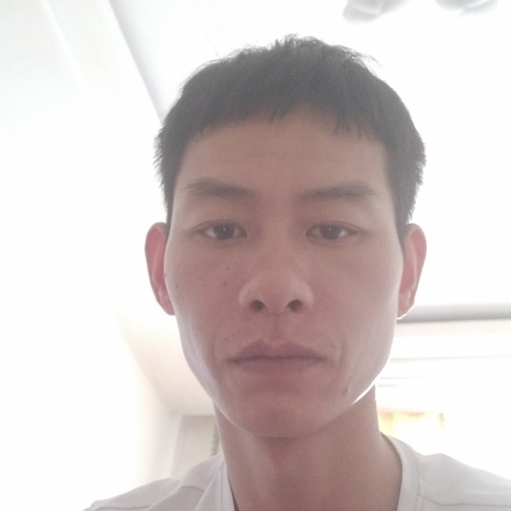 走走停停a的照片