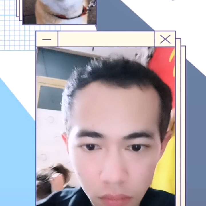 淡然等于翅膀的照片