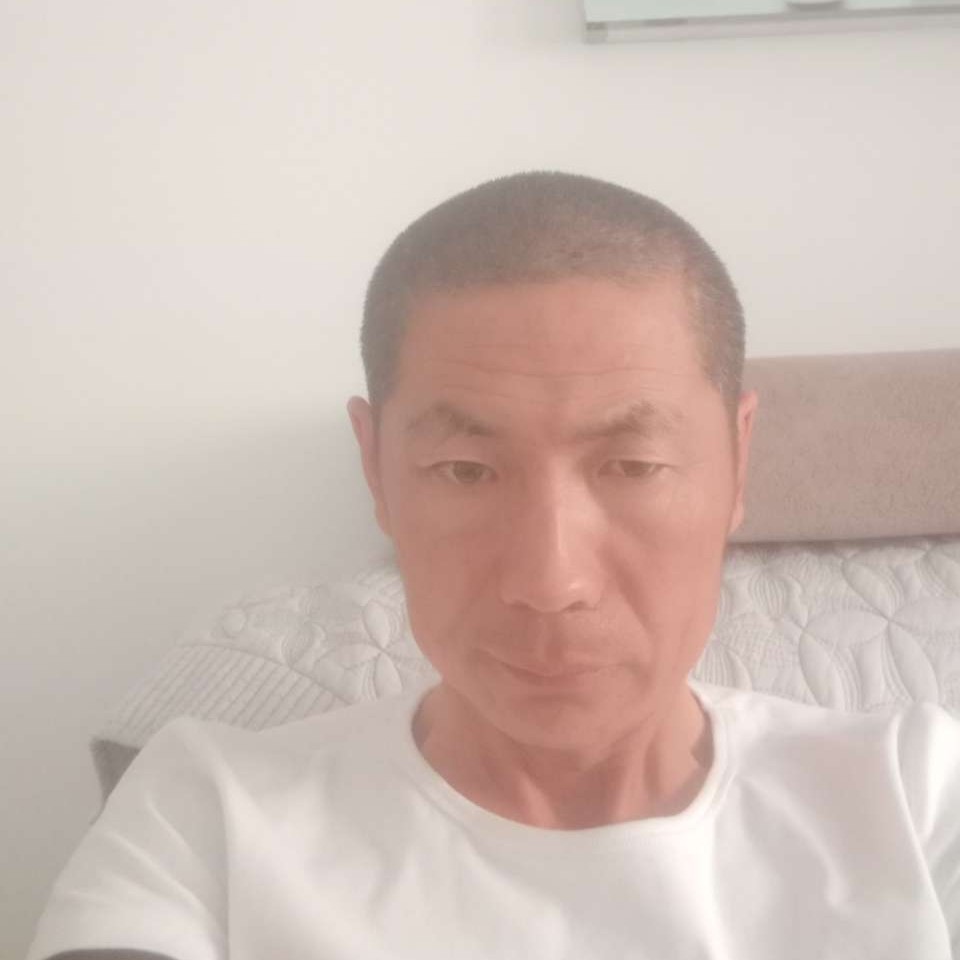 大树没好的照片