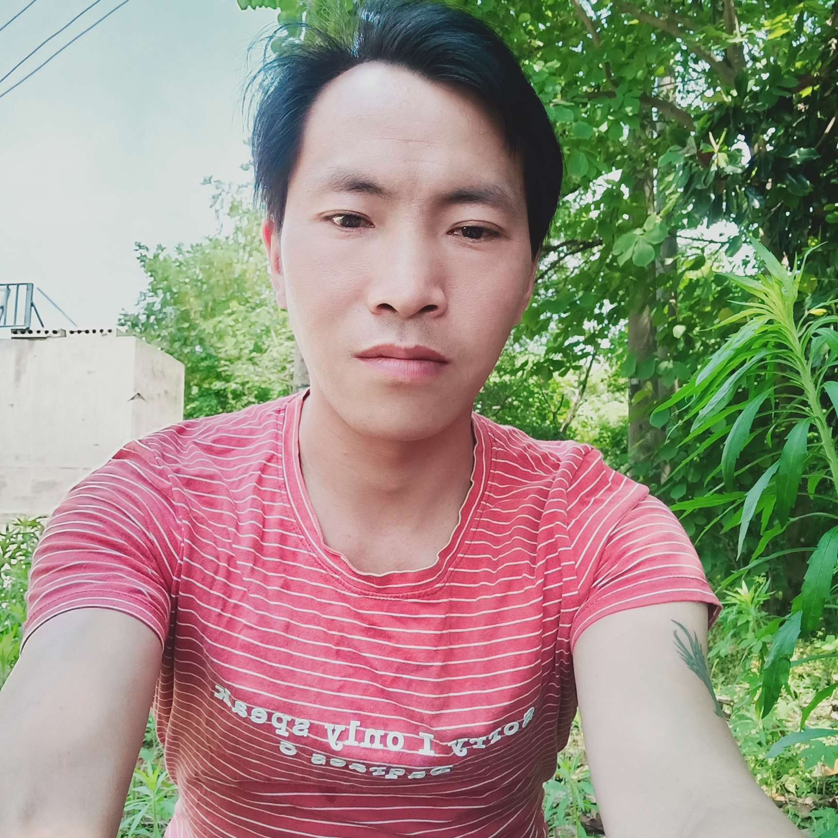 自然泪了身影的照片