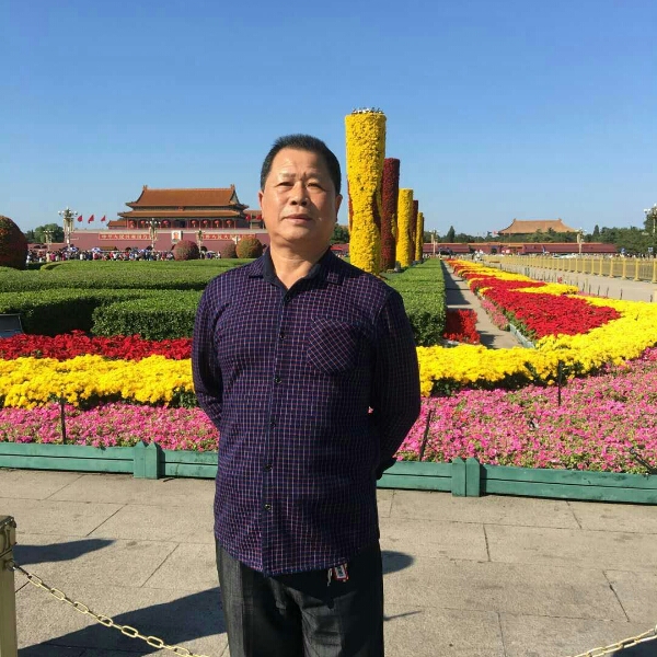 感性等于翅膀的照片