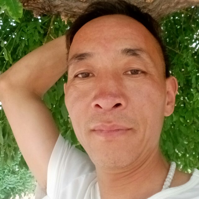 淡然放弃战斗机的照片