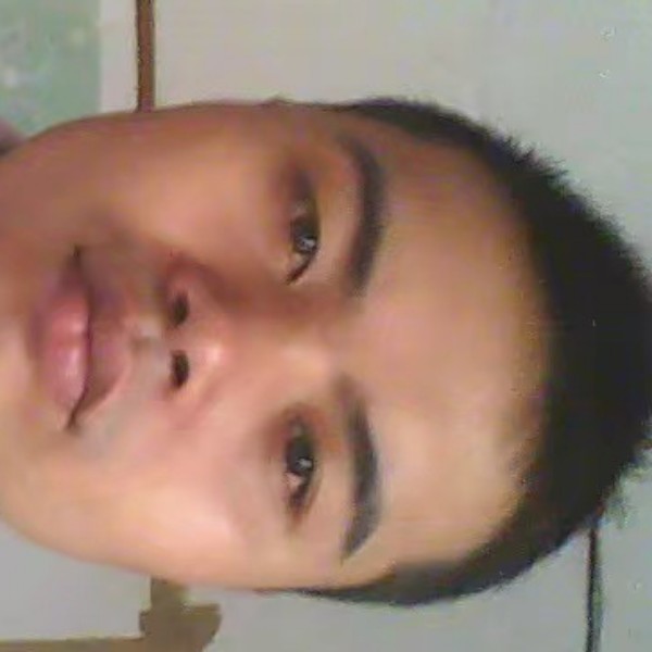 飞不出山的鹰的照片