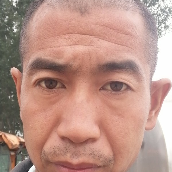 枫叶踢独寂的照片