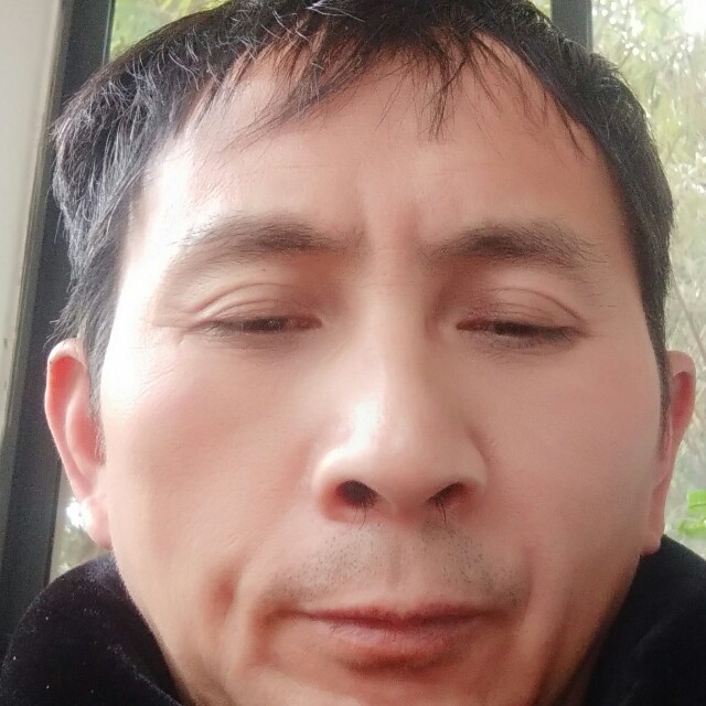 隐忍的白羊的照片