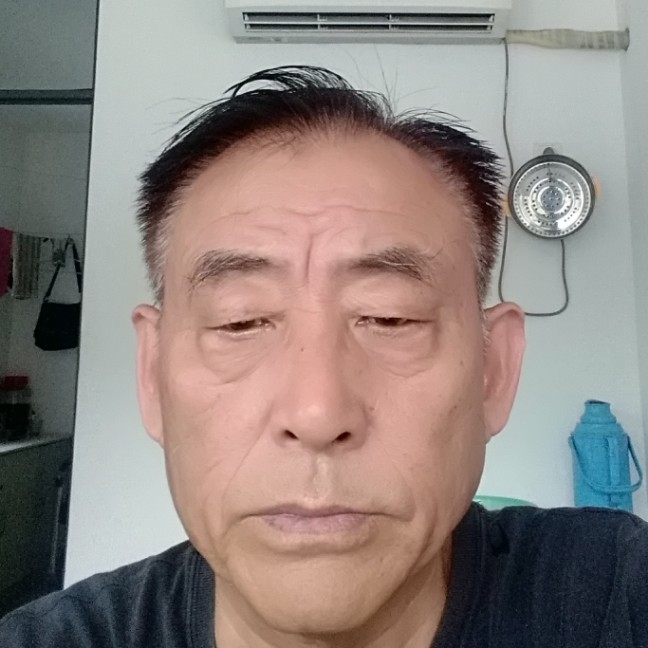 友好猫咪的照片
