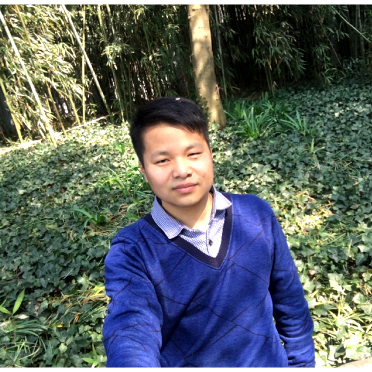 迷路拾忆爆米花的照片