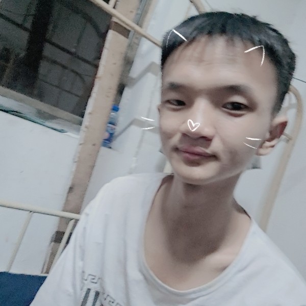 淡淡还羽裳的照片