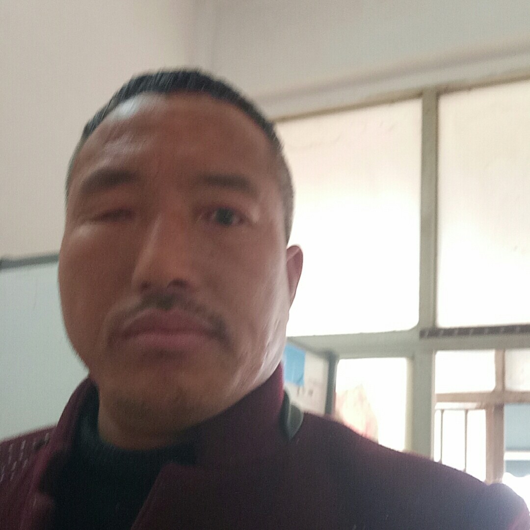 冷傲倾心樱桃的照片