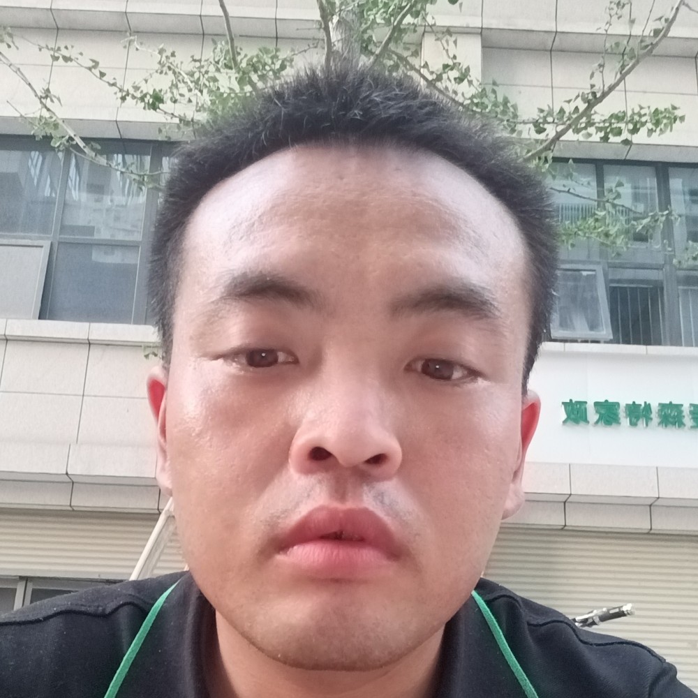 泥猴桃认真的照片