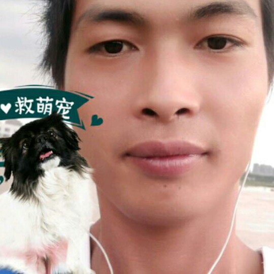 不会聊天都是喜欢的照片