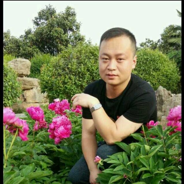 太阳暖男的照片