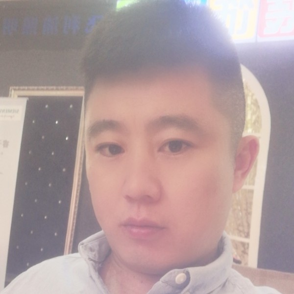 羽毛停止活泼的照片